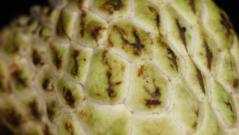 close-up of custard apple being sliced