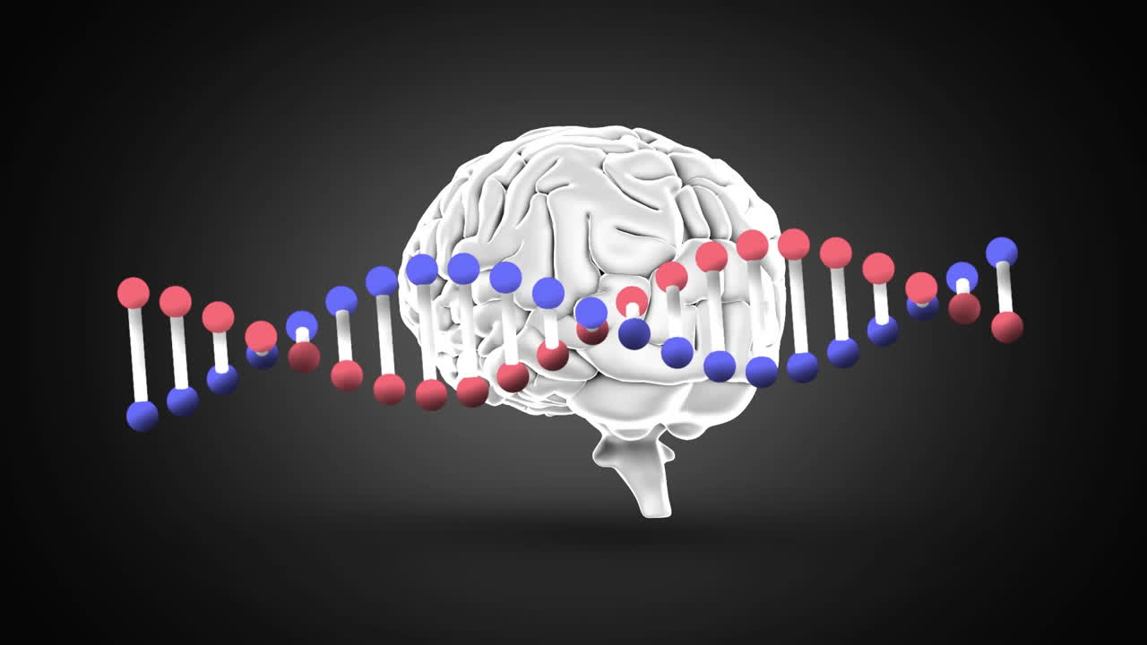 animación digital de la estructura del adn girando en contra del cerebro humano girando en fondo negro