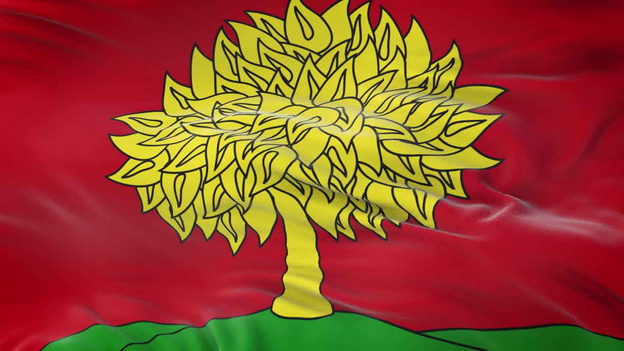 Lipetsk oblast (Federal subject of Russia) flag waving in the wind with highly detailed fabric texture. Seamless loop