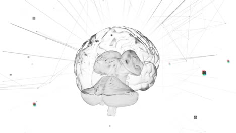 animation of digital brain with network connections and geometric elements