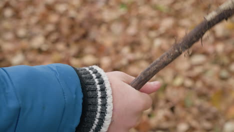 close-up of kid's hand in blue jacket holding and twisting a dry stick, surrounded by blurred autumn foliage, showcasing playful exploration and connection with nature during outdoor activity