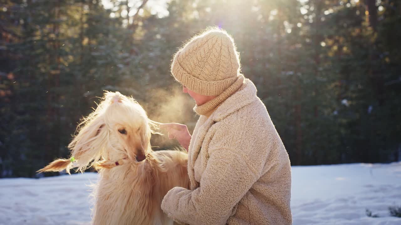 Woman with her dog in a snowy forest