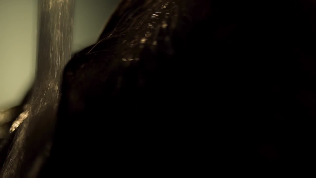 어고 질감이있는 표면의 근접 시각