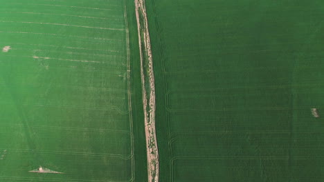 aerial view of green agricultural fields