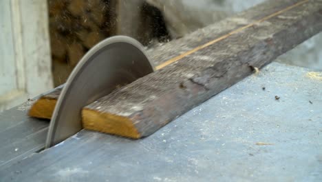 circular saw. the wizard cuts a wooden board on a circular saw. close-up.