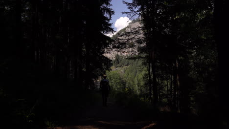 silhouette of hiker walking through forest with mountain in background