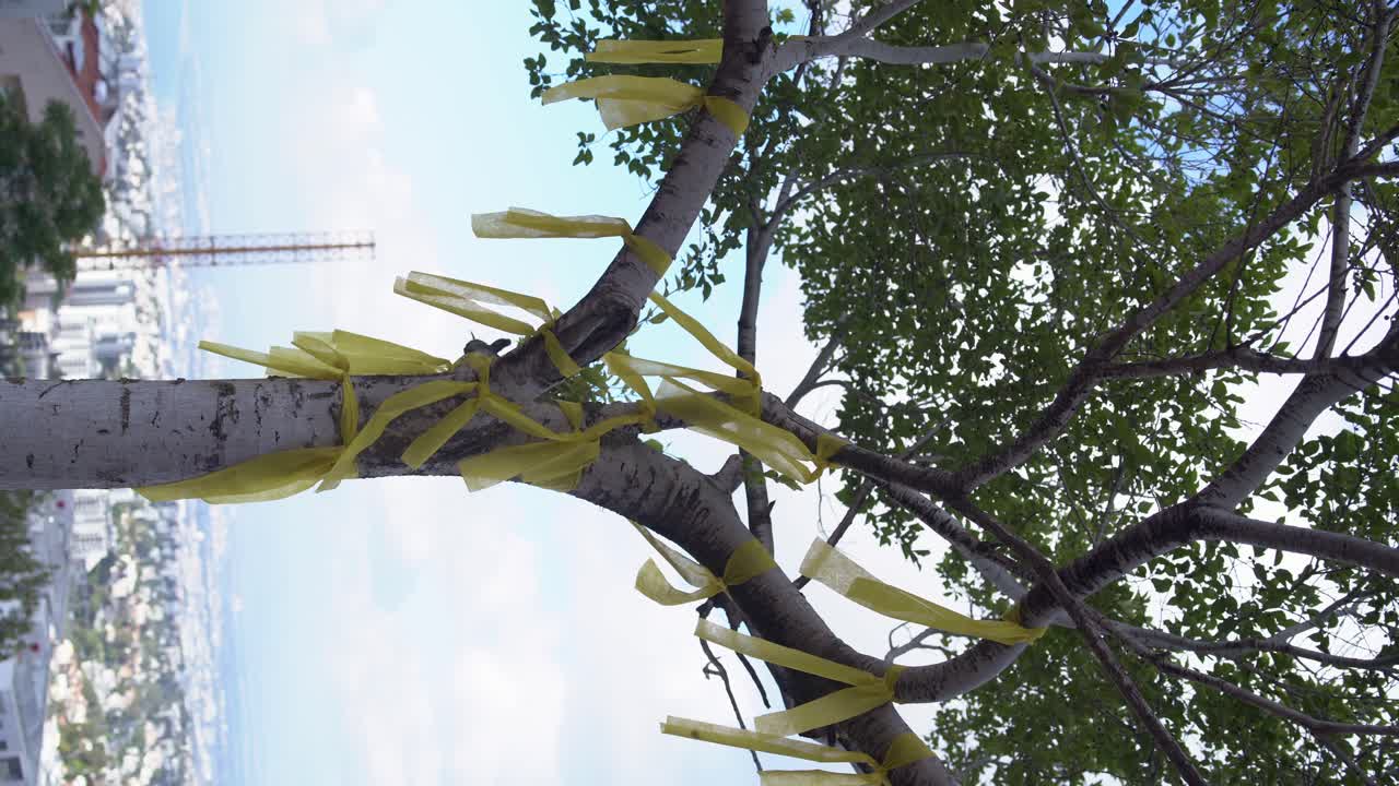 vertical video of display of solidarity with families of the hostages kidnapped to Gaza, Yellow ribbon