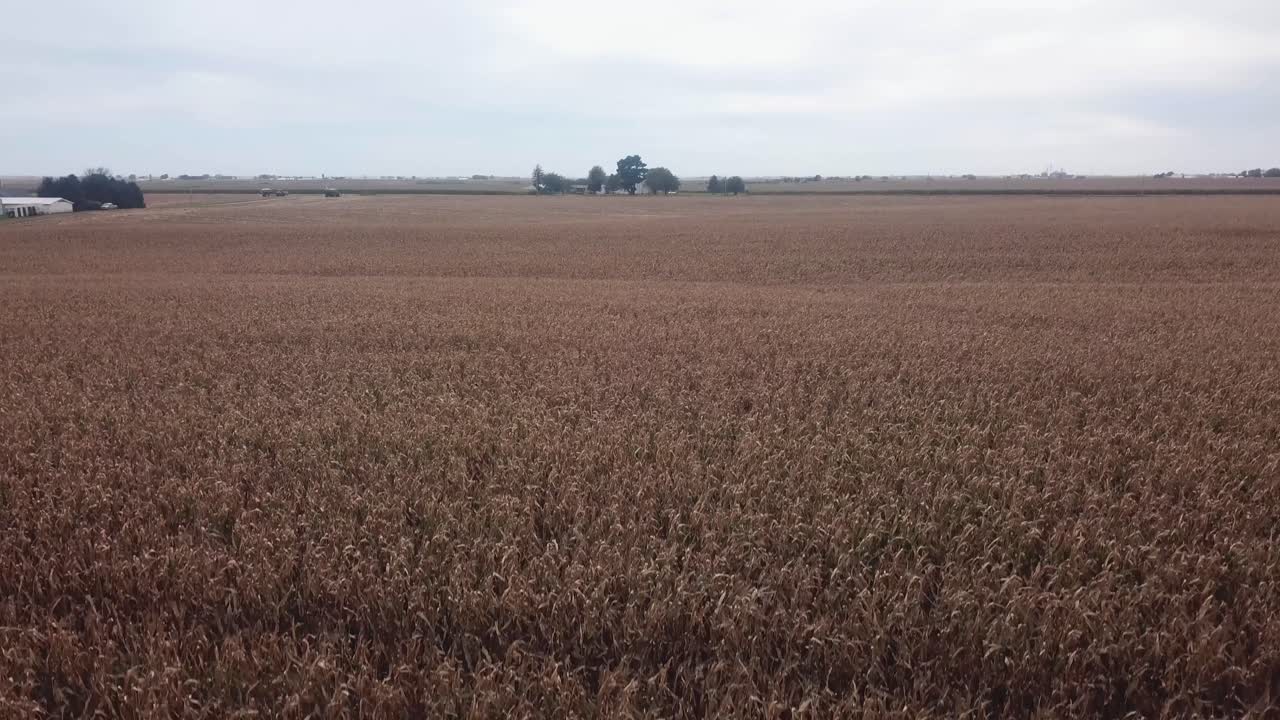 vista aérea de drones de un campo de maíz parcialmente cosechado en una zona rural de iowa