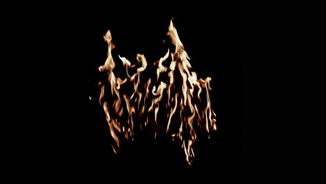 slow motion group of flames burning in middle of screen that slowly burns out.