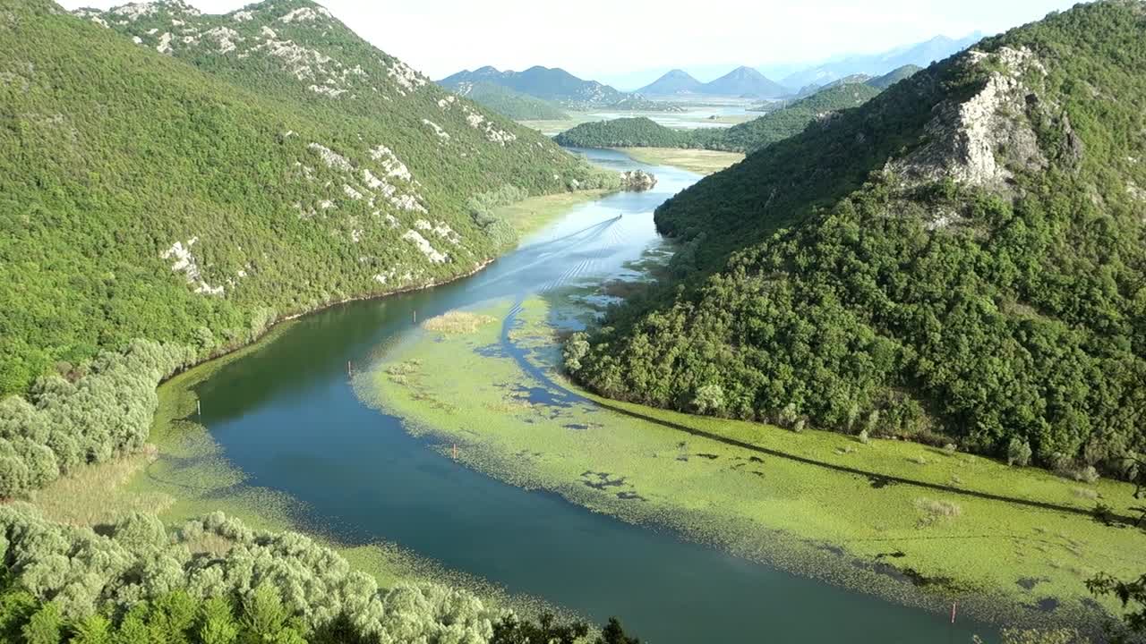 green vegetation covers Rijeka Crnojevica river in Montenegro, Europe. Lake Skadar National Park area