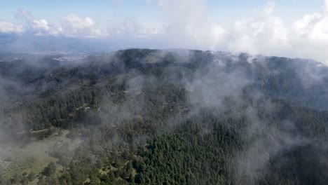 Beatiful-scene-of-forest-near-Mexico-city-seen-from-drone