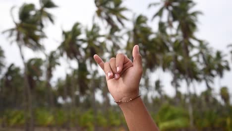 chica turista hace el gesto hawaiano de la mano &quot;shaka&quot;, video al aire libre con palmeras en el fondo