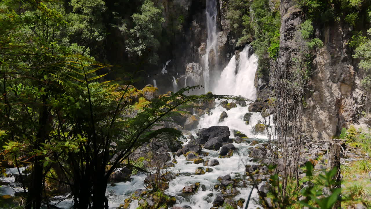 cierre las plantas de helecho verde y la gran cascada de montaña salpicando la pared de roca en la naturaleza -