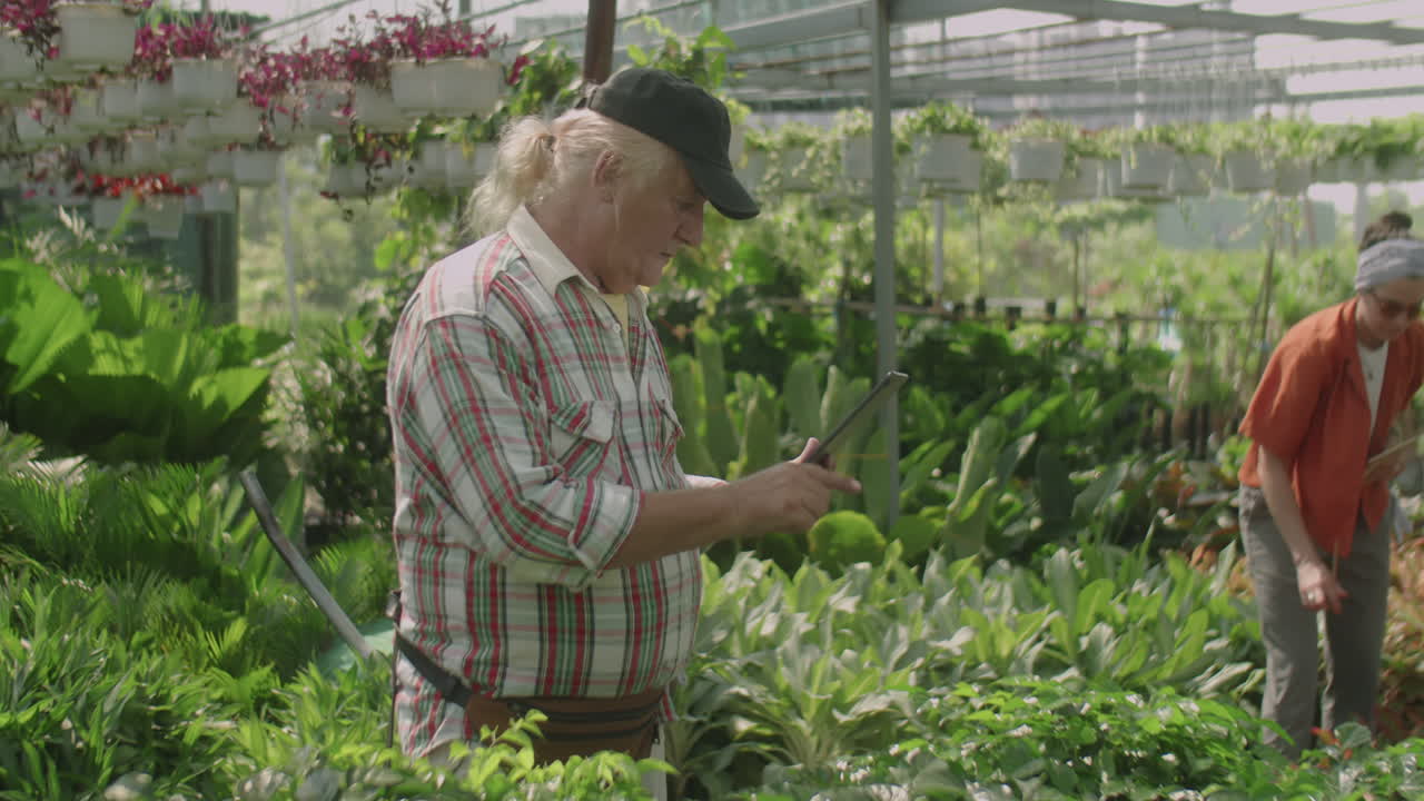 Senior Nurseryman Working with Tablet in Greenhouse