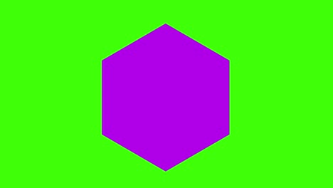 animation of shapes and elements icon on a green screen