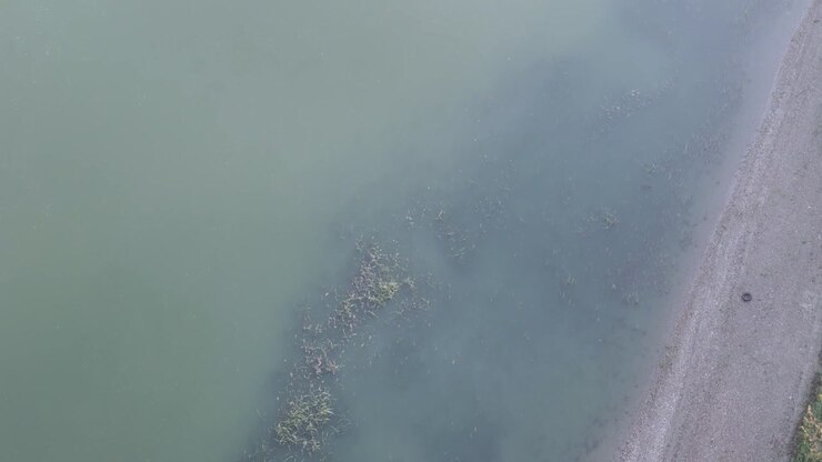 Po River showing low water levels, shallow submerged vegetation and an exposed gravel shoreline, illustrating reduced river flow and sediment exposure in northern Italy, aerial top down shot
