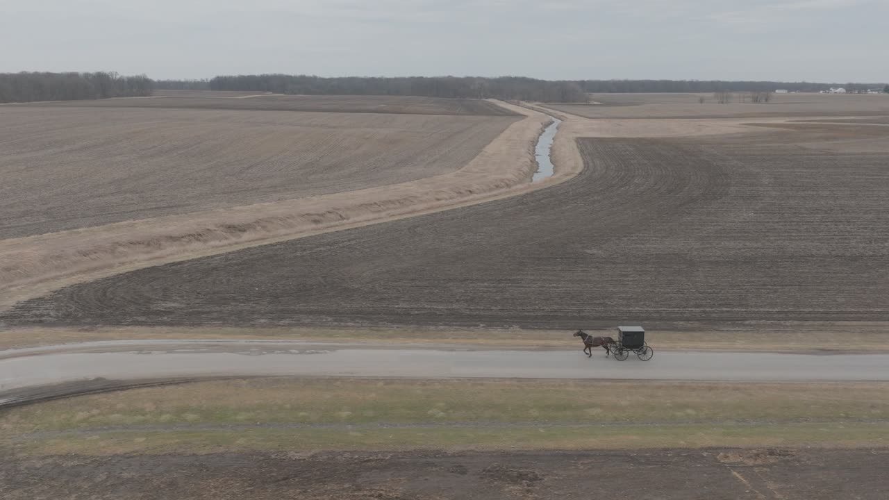 Drone follow up shot of an amish horse and black buggy moving through countryside during daytime.