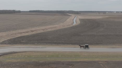 drone follow up shot of an amish horse and black buggy moving through countryside during daytime.