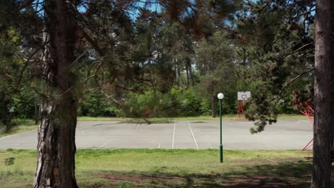 abandoned basket playground in the forest during a covid outbreak