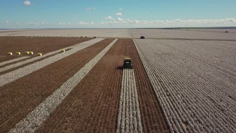 a combine tractor harvests cotton from a crop field in rural brazil. wide shot, push in.