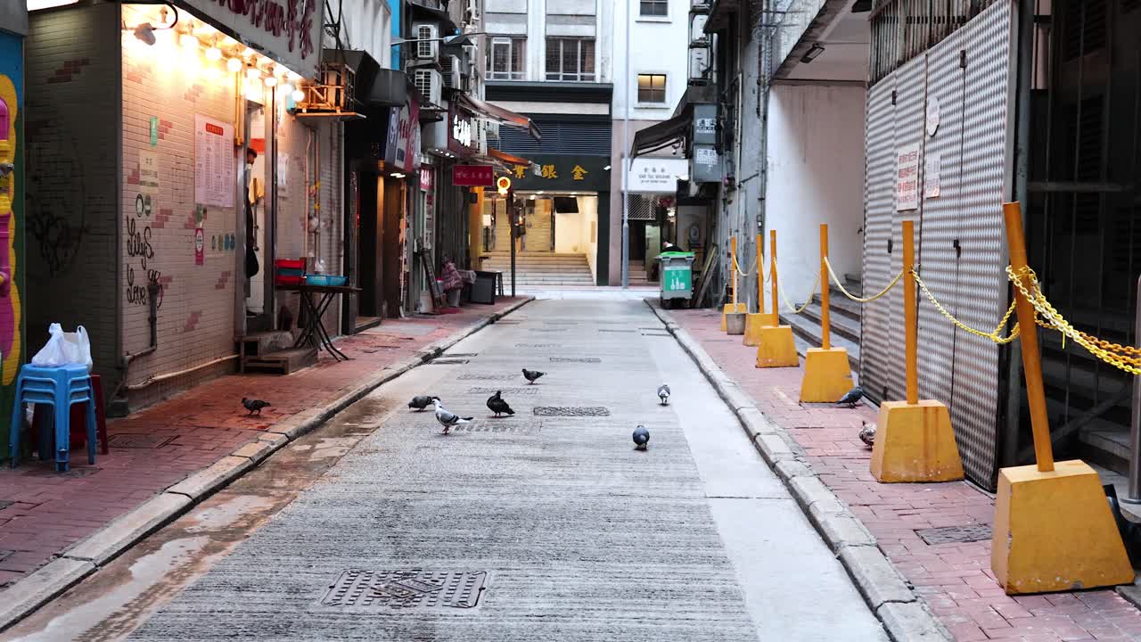 Piccioni si radunano in un tranquillo vicolo urbano