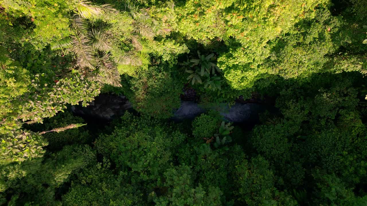 vista aérea de arriba hacia abajo del río prístino en la selva tropical selva tropical verde 4k indonesia