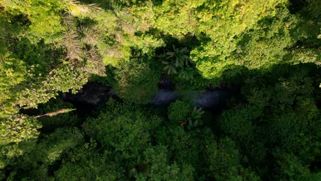 Vista-Aérea-De-Arriba-Hacia-Abajo-Del-Río-Prístino-En-La-Selva-Tropical-Selva-Tropical-Verde-4k-Indonesia