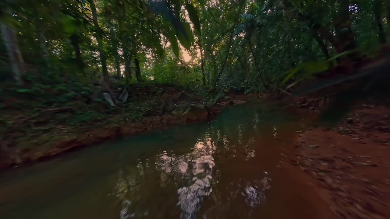 drone volando bajo sobre el río comate y a través de ramas de árboles en el bosque tropical, monte plata en república dominicana