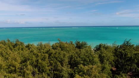 Drone-Volando-Fuera-Del-Bosque-Hacia-La-Playa-Tropical-Hawaiana-En-Un-Día-Soleado