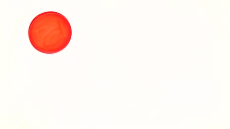 círculo rojo