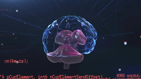 animación del cerebro humano y procesamiento de datos sobre un fondo oscuro