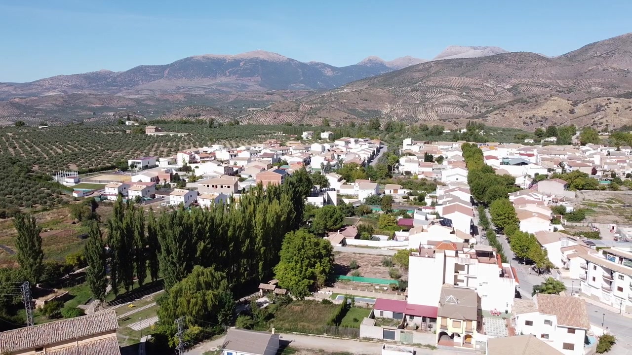 Ripresa aerea con drone di Arbuniel, un tranquillo villaggio rurale a Jaén, Andalusia, immerso tra estesi uliveti e catene montuose sotto un cielo azzurro e limpido