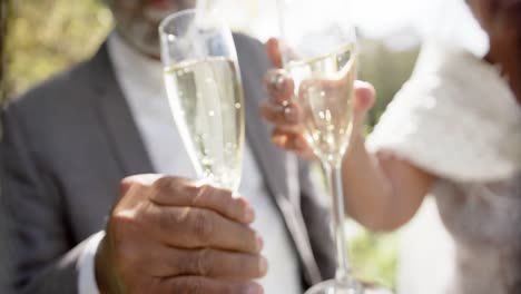 Happy-senior-biracial-couple-drinking-champagne-at-wedding-in-garden,-slow-motion
