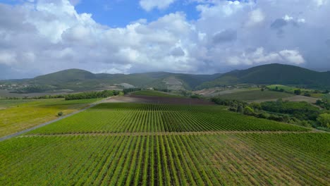 Campo-De-Vino-Fantástica-Vista-Aérea-Superior-Vuelo-Paisaje-Meditativo-Valle-De-Toscana-Italia-Otoño