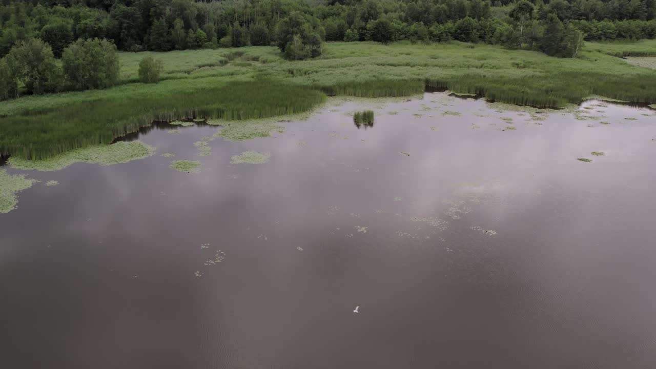 Calm Evening at Niemodlin Ponds with Beautiful Water Reflection