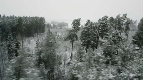 Valdemārpils-De-Letonia-En-El-Mes-De-Diciembre.