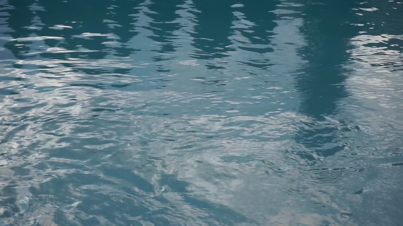 물이 움직이고 나무와 하늘을 반사합니다.