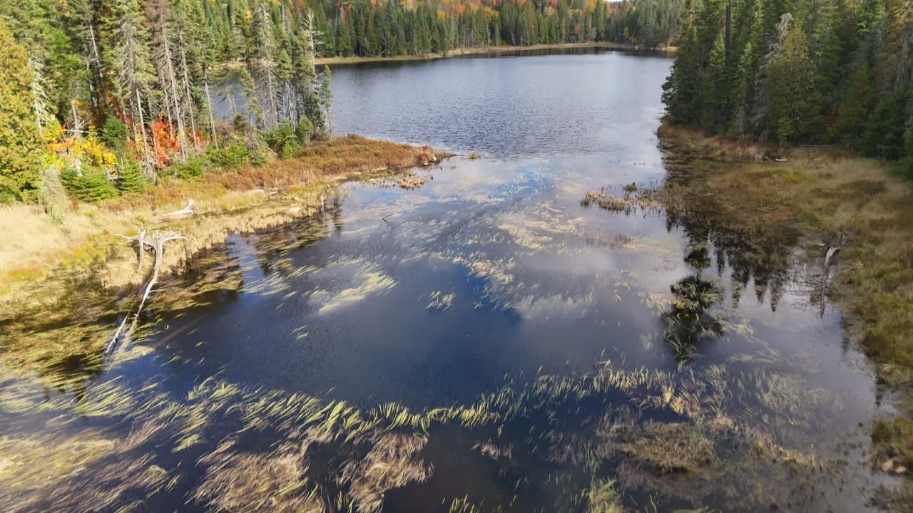 Luftfoto fra drone af en mand, der fisker ved en bæverdæmning i en stille efterårssø i Quebec, Canada, omgivet af levende efterårsfarver og fredfyldt vildmark