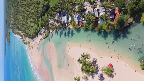 crowd of people and kids in clear river water during sunny day in dominican republic., palm trees along playa la entrada, maria trinidad sanchez, dominican republic.