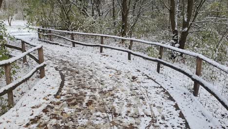 Pan-up-on-a-path-Berlin-in-wintertime-in-the-Park-Hasenheide-covered-with-snow-HD-30-FPS-9-secs