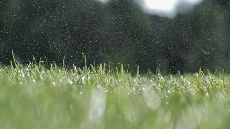 Golf-club-hits-a-golf-ball-in-a-super-slow-motion.-Drops-of-morning-dew-and-grass-particles-rise-into-the-air-after-the-impact.