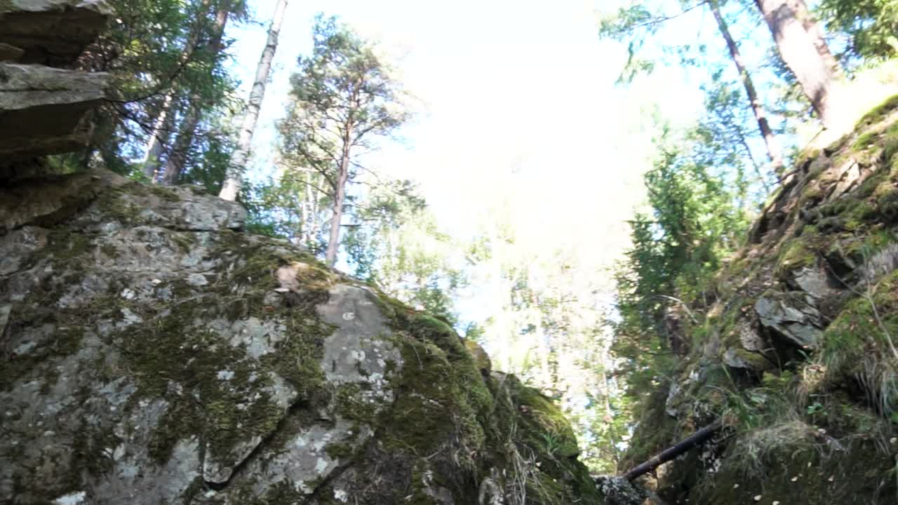 바위 를 가로질러 가는 숲길