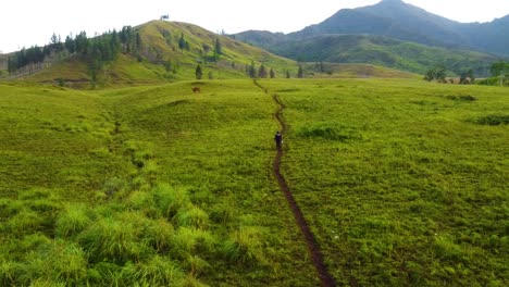 A-person-walking-towards-the-mountain