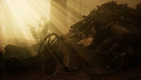 Preparation-of-firewood-for-the-winter-in-forest-at-sunset