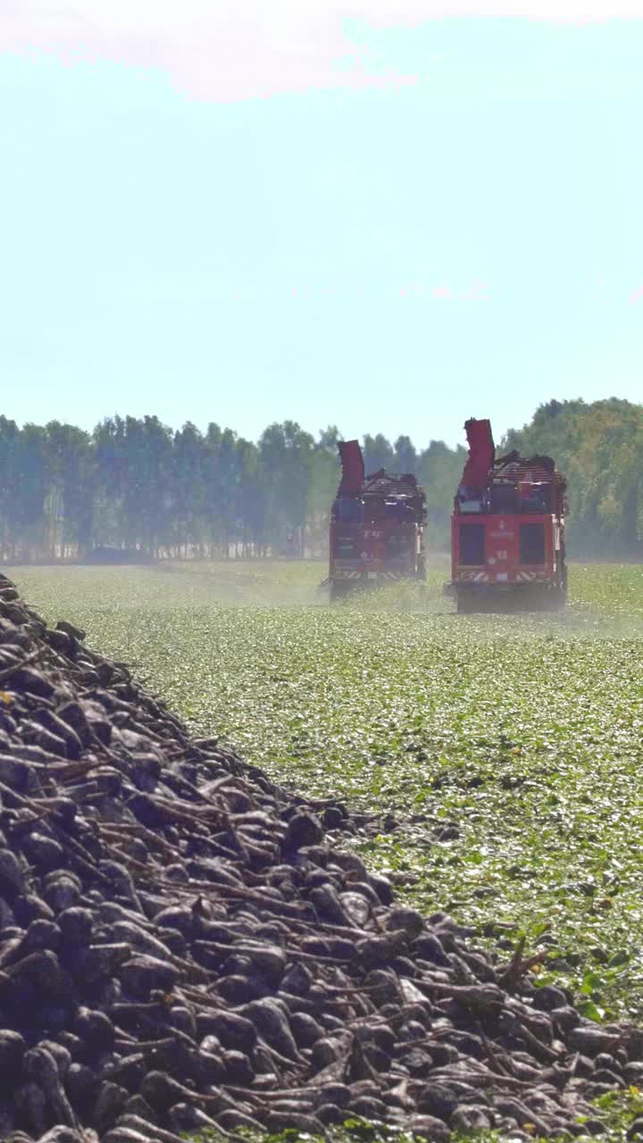 Agricultural machinery harvesting crops in a field with green foliage and distant trees