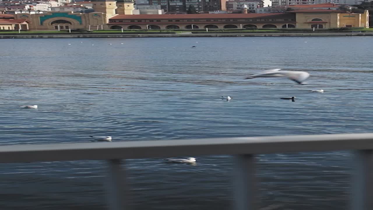 호수와 바다표범이 있는 이스탄불 도시 풍경