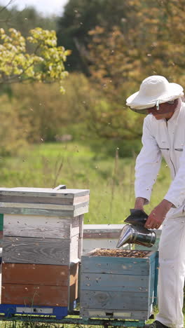 organic honey harvesting by beekeeper. summer beekeeping man working with apiary honeycombs. vertical video