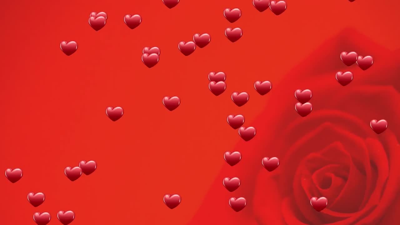 빨간 바탕에 장미 위에 떠다니는 심장의 애니메이션