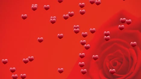 Animation-Von-Herzen,-Die-über-Einer-Rose-Auf-Rotem-Hintergrund-Schweben