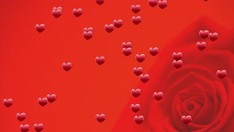 animation of hearts floating over rose on red background